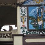 kathmandu4
